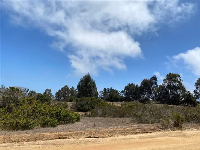 Sitio en venta en Algarrobo - Imagen 14