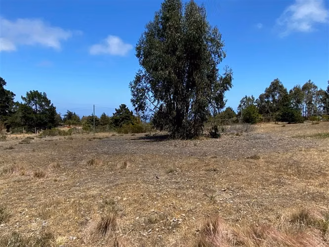 Sitio en venta en Algarrobo - Imagen 8