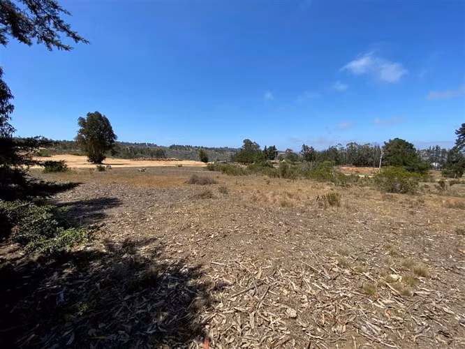 Sitio en venta en Algarrobo - Imagen 3