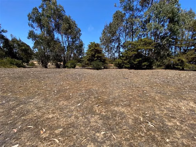 Sitio en venta en Algarrobo - Imagen 4