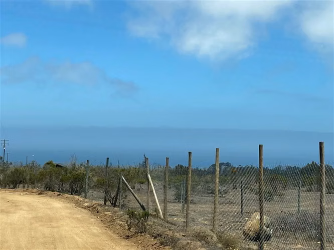 Sitio en venta en Algarrobo - Imagen 10