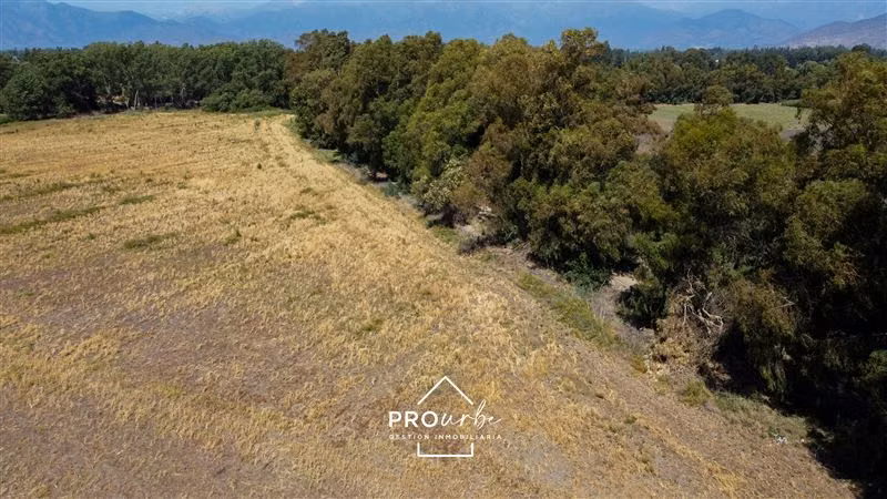 Agrícola en venta en Paine