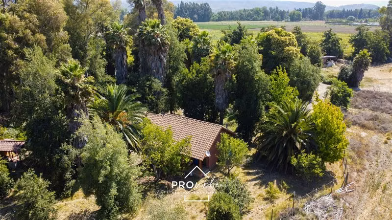 Agrícola en venta en Paine