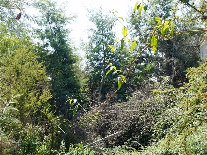 Parcela en venta en Limache