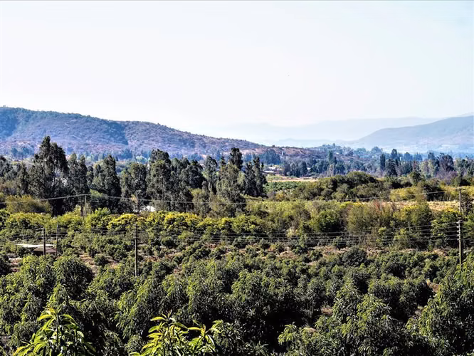 Parcela en Venta en Limache