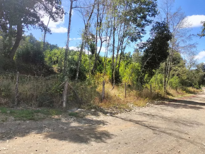 Venta Parcela en Coipue entorno Natural  (151655)