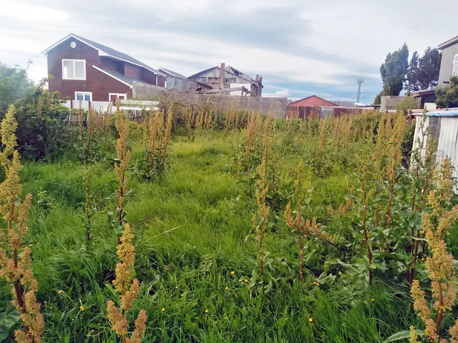 SITIO URBANO EN PUERTO NATALES