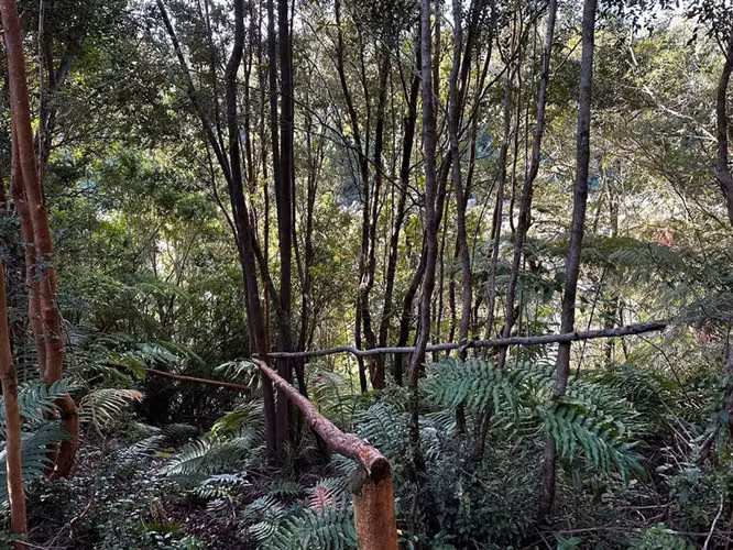 Parcela en venta en Puerto Varas