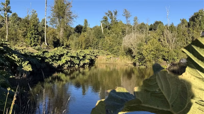 Parcela en venta en Puerto Varas