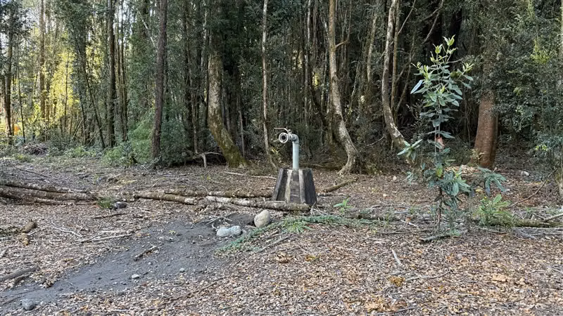 Parcela en venta en Puerto Varas