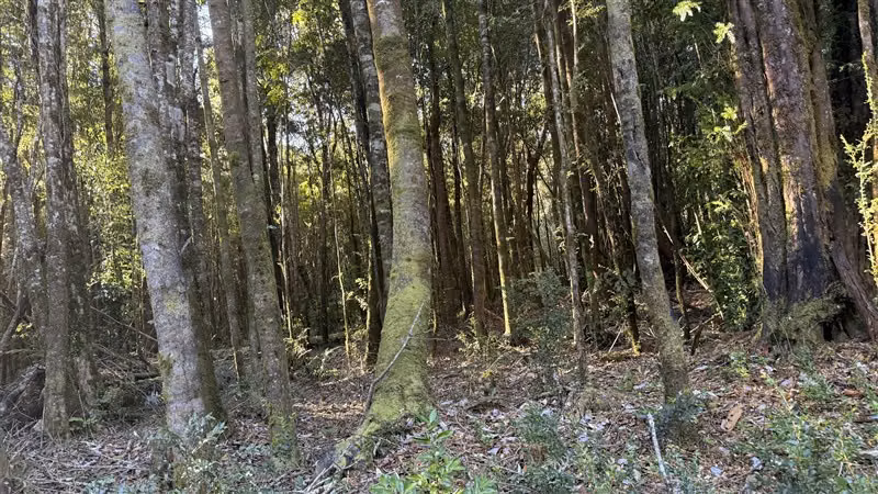 Parcela en venta en Puerto Varas