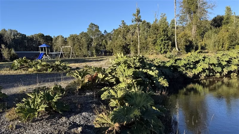 Parcela en venta en Puerto Varas