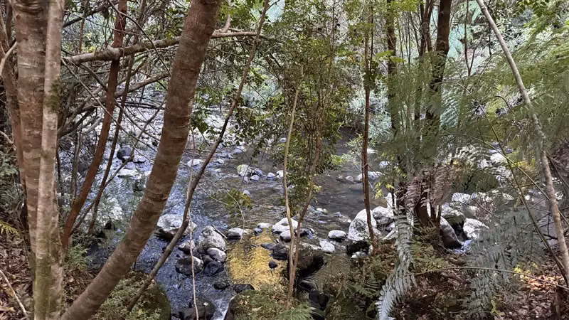 Parcela en venta en Puerto Varas