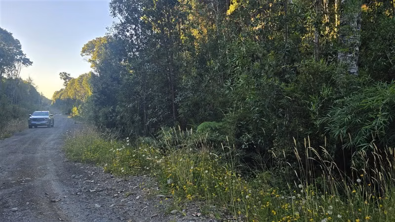 Parcela en venta en Puerto Varas