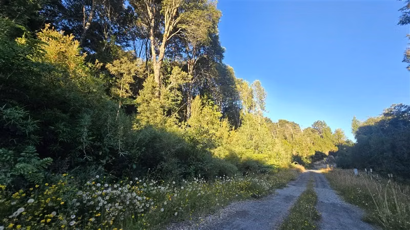 Parcela en venta en Puerto Varas