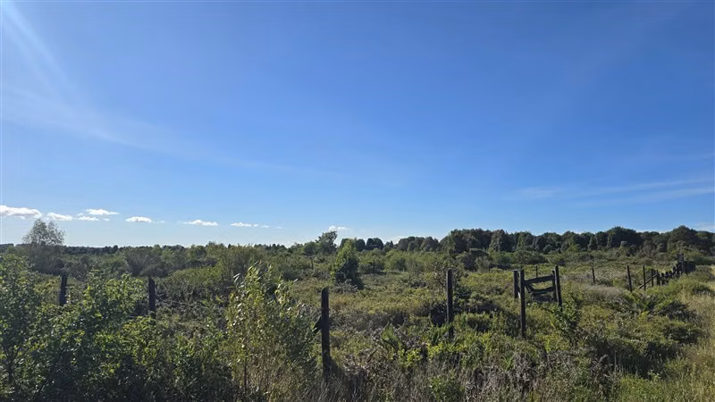 Parcela en venta en Puerto Varas