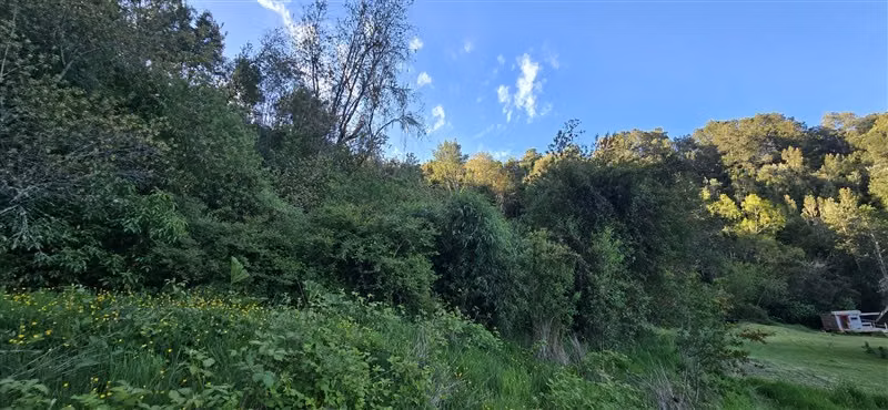 Parcela en venta en Puerto Varas