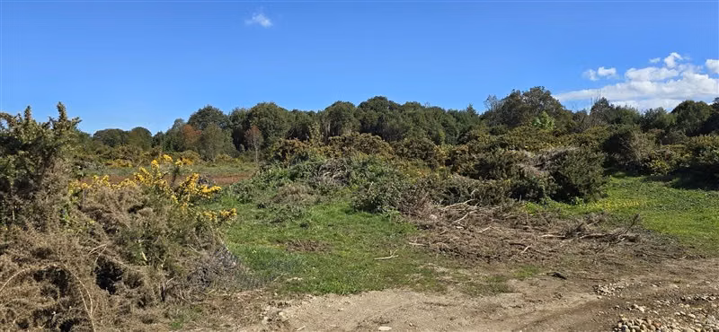 Parcela en venta en Puerto Montt