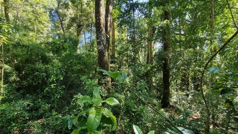 Parcela en venta en Puerto Varas