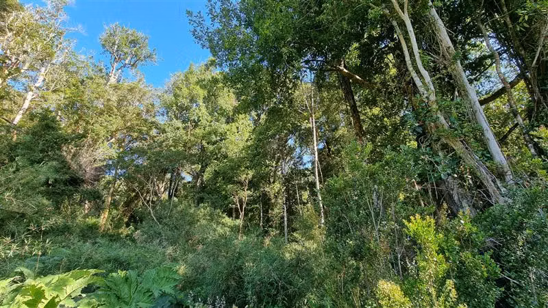 Parcela en venta en Puerto Varas