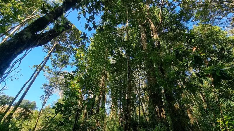 Parcela en venta en Puerto Varas