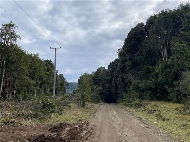Parcela en venta en Puerto Varas