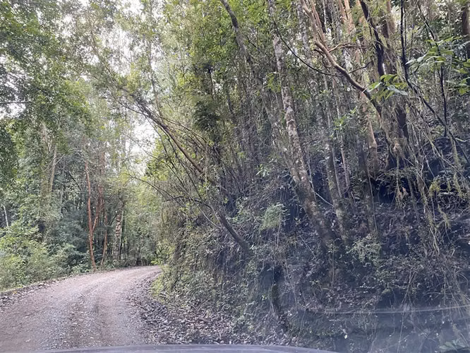 Parcela en venta en Puerto Varas