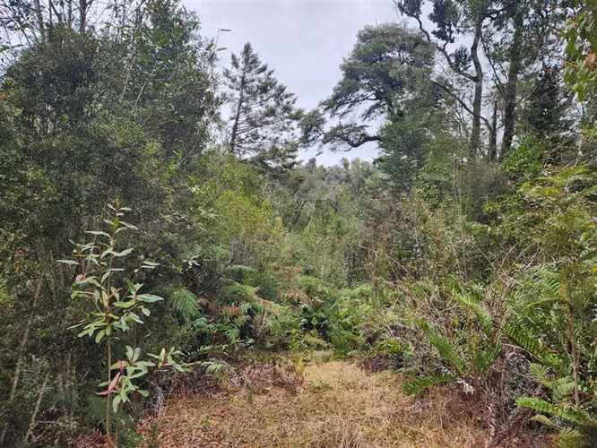 Parcela en venta en Puerto Varas