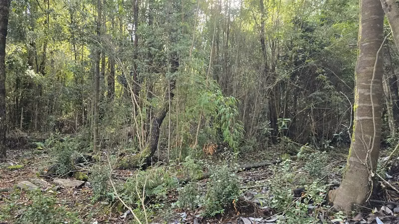 Parcela en venta en Puerto Varas