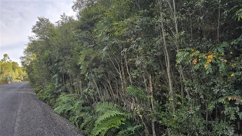 Parcela en venta en Puerto Varas
