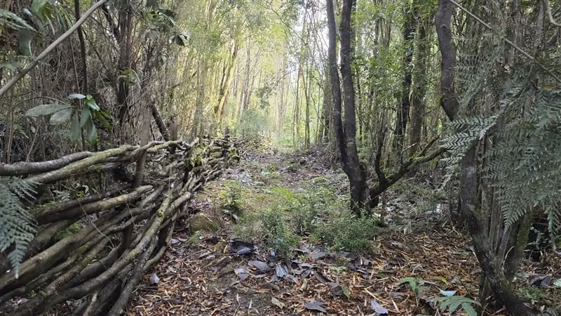 Parcela en venta en Puerto Varas