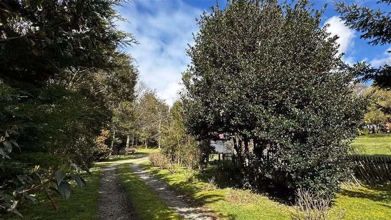 Local Comercial en venta en Puerto Varas