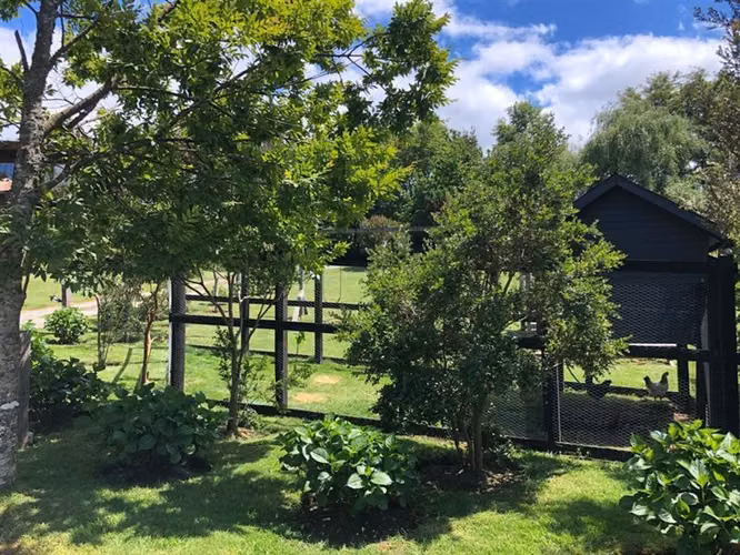 Local Comercial en venta en Puerto Varas