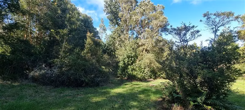 Casa en venta de 5 dorm. en Puerto Varas