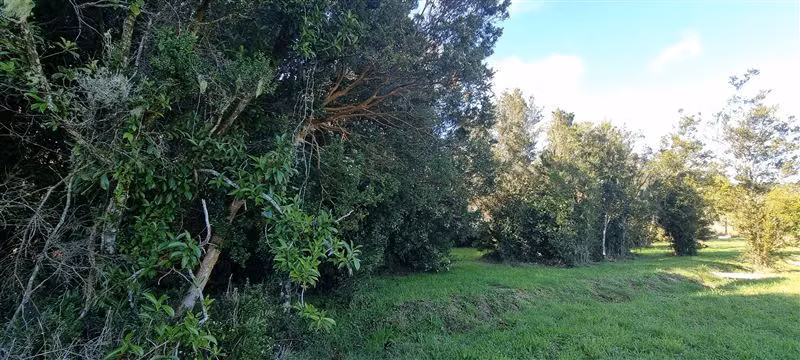 Casa en venta de 5 dorm. en Puerto Varas