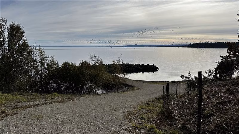 Parcela en venta en Puerto Octay