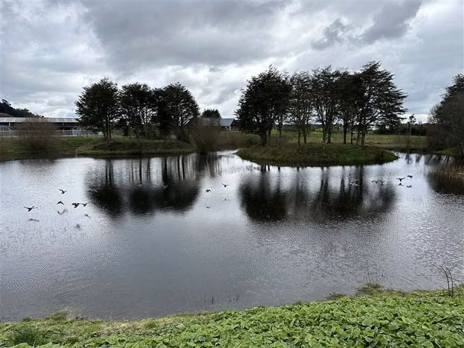 Parcela en venta en Puerto Varas