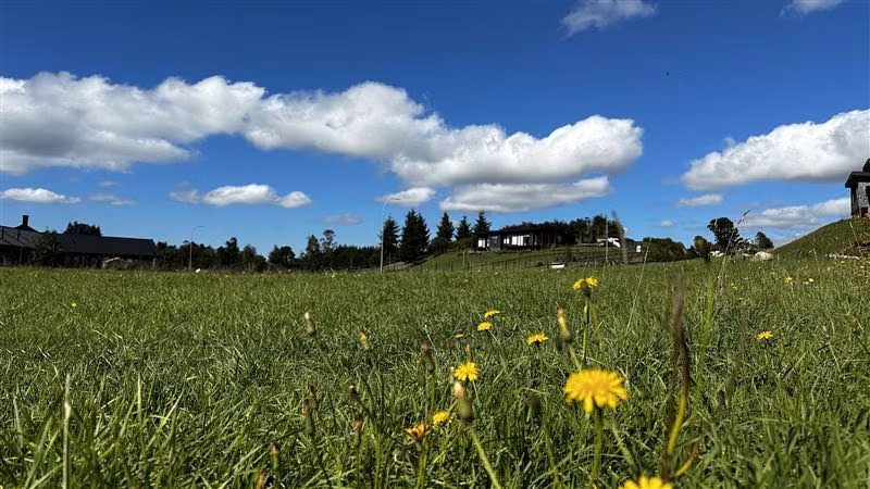 Parcela en venta en Puerto Varas