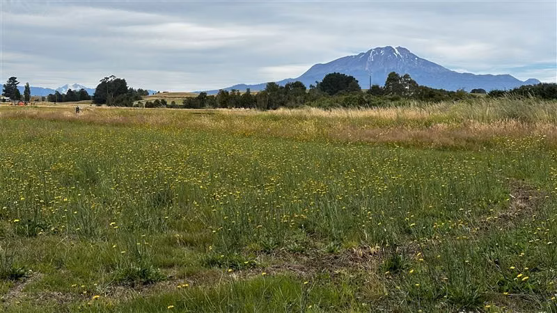 Parcela en venta en Puerto Varas