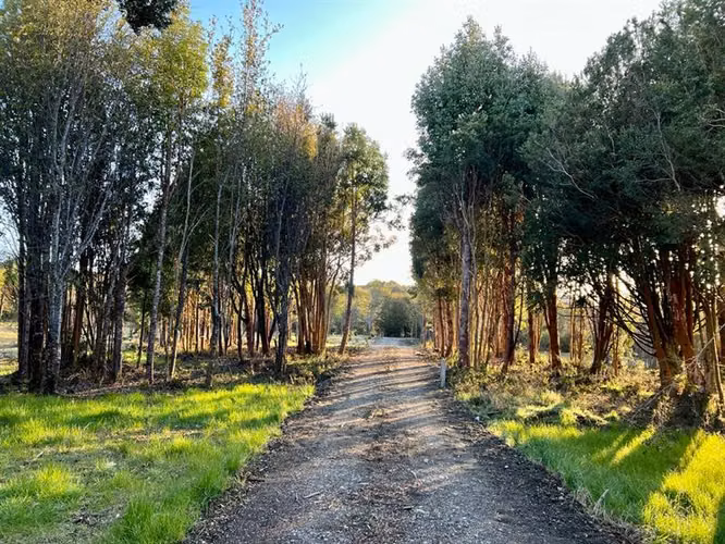 Parcela en venta en Castro
