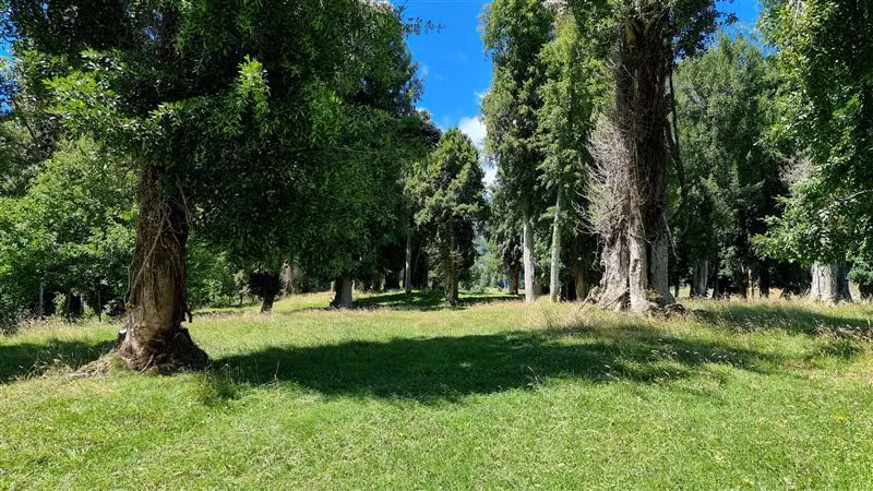 Parcela en venta en Puerto Octay
