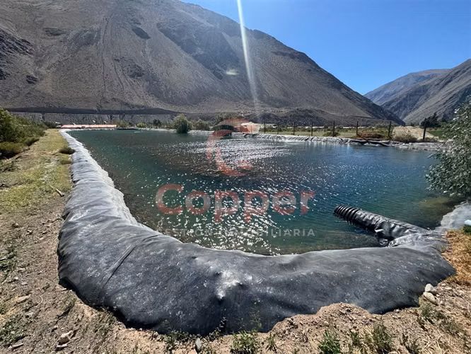 Se Vende Predio Agrícola con Derechos de Aguas, Transito