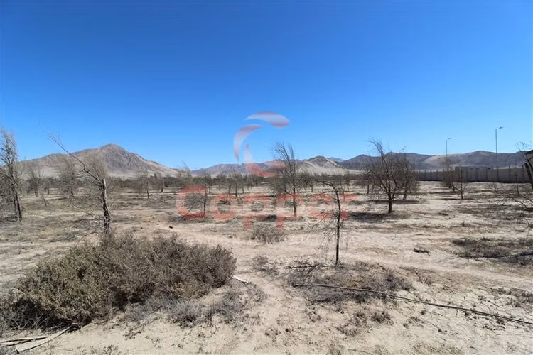 Sitio en venta en Copiapó