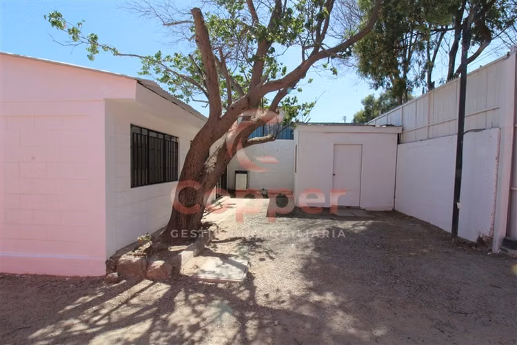 Se Arrienda Galpón con Oficinas, Sector Oriente, Copiapó