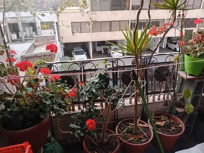 EXCELENTE Departamento ,Recibos, 3 dormitorios , escritorio