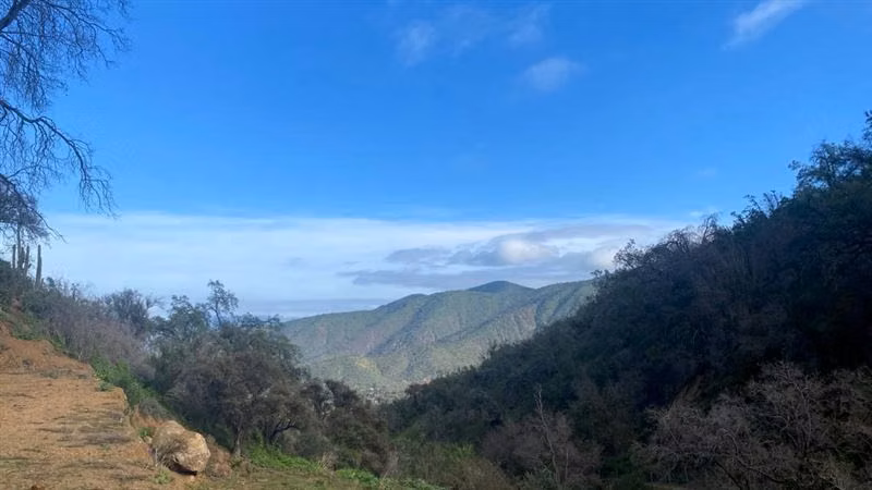 Parcela en Condominio Los Bosques de Miraflores / Curacaví