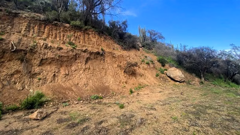 Parcela en Condominio Los Bosques de Miraflores / Curacaví