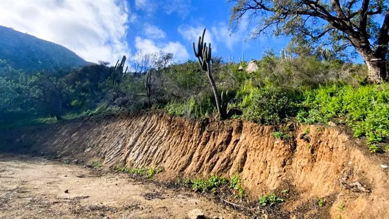 Parcela en Condominio Los Bosques de Miraflores / Curacaví