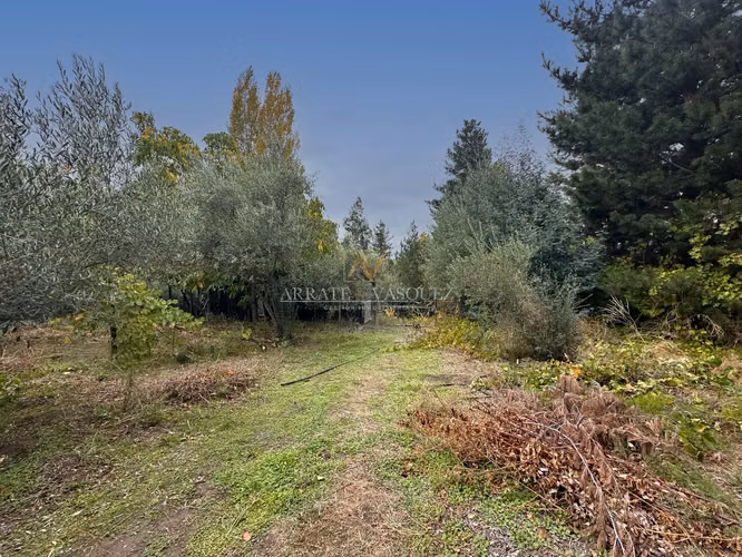 OPORTUNIDAD En Arriendo Parcela el Rio Claro