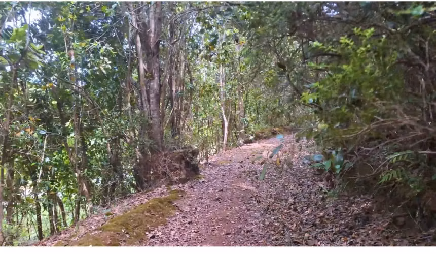 Parcela en venta Cudico-licanray